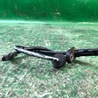 Датчик ABS Subaru Outback BR