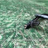 ФОТО Датчик ABS для Subaru Outback BR Киев
