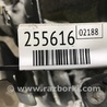 ФОТО Двигатель бензиновый для Nissan Quest S (11-17) Киев