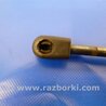 ФОТО Амортизатор капота для Mercedes-Benz R-CLASS W251 (05-13) Киев