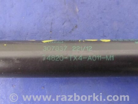 ФОТО Амортизатор крышки багажника для Acura RDX TB3, TB4 (03.2012-12.2015) Киев