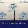 Амортизатор крышки багажника Acura RDX TB3, TB4 (03.2012-12.2015)