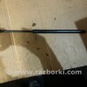 Амортизатор крышки багажника Acura RDX TB3, TB4 (03.2012-12.2015)