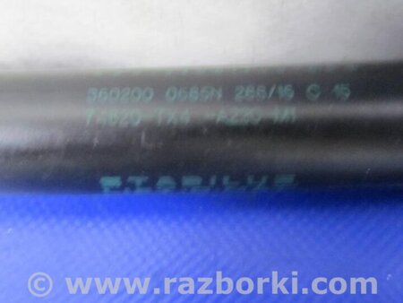 ФОТО Амортизатор крышки багажника для Acura RDX TB3, TB4 (03.2012-12.2015) Киев