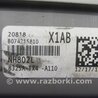 ФОТО Плафон освещения основной для Acura RDX TB3, TB4 (03.2012-12.2015) Киев