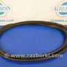 Уплотнитель двери Acura RDX TB3, TB4 (03.2012-12.2015)