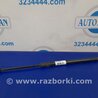 Амортизатор крышки багажника Acura RDX TB3, TB4 (03.2012-12.2015)