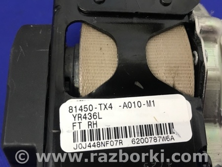 ФОТО Ремень безопасности для Acura RDX TB3, TB4 (03.2012-12.2015) Киев