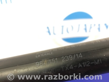 ФОТО Амортизатор крышки багажника для Acura RDX TB3, TB4 (03.2012-12.2015) Киев