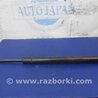 Амортизатор крышки багажника Lexus RX300/330/350/400 (03-09)