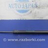 Амортизатор крышки багажника Lexus RX300/330/350/400 (03-09)