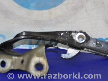 ФОТО Петля капота для Lexus RX300/330/350/400 (03-09) Киев