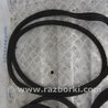 ФОТО Уплотнитель двери для Mercedes-Benz S-CLASS W221 (06-13) Киев