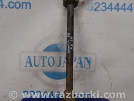 ФОТО Рычаг задний продольный для Hyundai Santa Fe CM (05-12) Киев