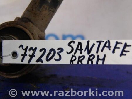 ФОТО Рычаг задний нижний поперечный для Hyundai Santa Fe CM (05-12) Киев