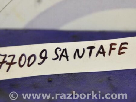 ФОТО Кнопка для Hyundai Santa Fe CM (05-12) Киев