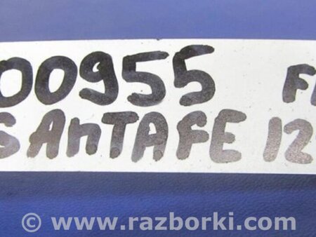 ФОТО Датчик ABS для Hyundai Santa Fe DM (12-18) Киев