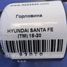 ФОТО Горловина бензобака для Hyundai Santa Fe TM Киев