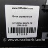 ФОТО Блок электронный для Hyundai Santa Fe TM Киев