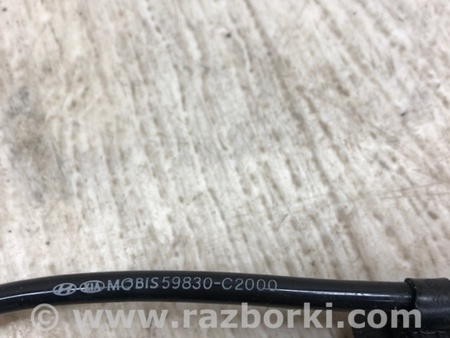 ФОТО Датчик ABS для Hyundai Sonata LF (04.2014-...) Киев