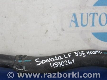 ФОТО Патрубок системы охлаждения для Hyundai Sonata LF (04.2014-...) Киев