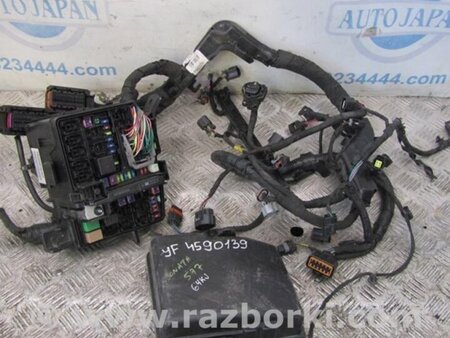 ФОТО Проводка моторного отсека для Hyundai Sonata LF (04.2014-...) Киев