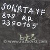 ФОТО Наполнитель бампера задний для Hyundai Sonata YF (09.2009-03.2014) Киев