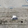 ФОТО Петля двери верхняя для KIA Sorento XM Киев