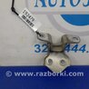 ФОТО Петля двери нижняя для Toyota Tacoma 1 (1995-2004) Киев
