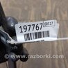 ФОТО Стеклоподъемник для Acura TLX (09.2014-04.2020) Киев