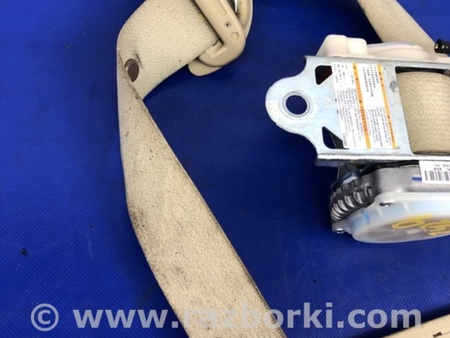 ФОТО Ремень безопасности для Acura TLX (09.2014-04.2020) Киев