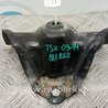 ФОТО Кронштейн крепления двигателя для Acura TSX CU2 (03.2008-05.2014) Киев