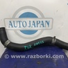 Патрубок системы охлаждения Acura TSX CU2 (03.2008-05.2014)