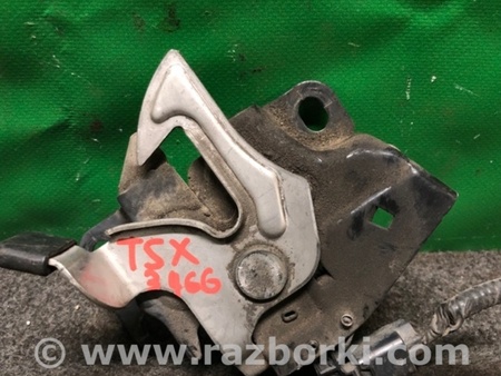ФОТО Замок капота для Acura TSX CU2 (03.2008-05.2014) Киев