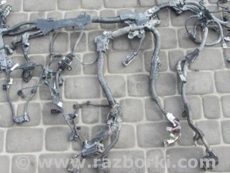 ФОТО Проводка моторного отсека для Toyota Camry 70 XV70 (01.2017-...)  Киев