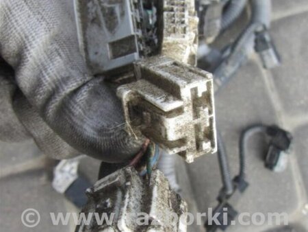 ФОТО Проводка моторного отсека для Toyota Camry 70 XV70 (01.2017-...)  Киев