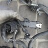 ФОТО Проводка моторного отсека для Toyota Camry 70 XV70 (01.2017-...)  Киев