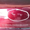 ФОТО Бампер передний для Honda Civic 8 FK,FN1,FN2 UFO (09.2005 - 06.2012) Киев