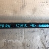 ФОТО Привод передний для Honda Civic 8 FK,FN1,FN2 UFO (09.2005 - 06.2012) Киев