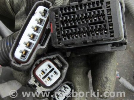 ФОТО Проводка моторного отсека для Subaru Forester (2013-) Киев