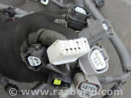 ФОТО Проводка моторного отсека для Subaru Forester (2013-) Киев