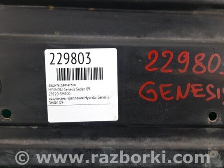 ФОТО Защита двигателя для Hyundai Genesis Sedan (08-13) Киев