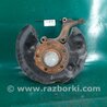 ФОТО Цапфа для Volkswagen Passat B8 (07.2014-...) Киев