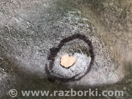 ФОТО Подкрылок для Audi (Ауди) Q7 4L (09.2005-11.2015) Киев