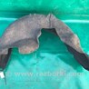 ФОТО Подкрылок для Acura RDX TB3, TB4 (03.2012-12.2015) Киев
