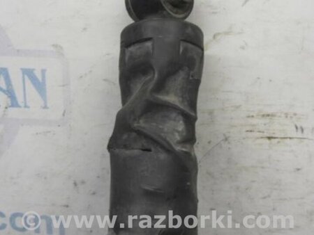 ФОТО Амортизатор для Hyundai Santa Fe DM (12-18) Киев