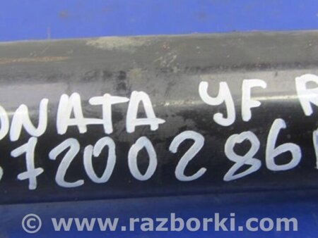 ФОТО Амортизатор для Hyundai Sonata YF (09.2009-03.2014) Киев
