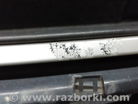 ФОТО Решетка радиатора для Honda Accord CU (12.2008 - 03.2013) Киев