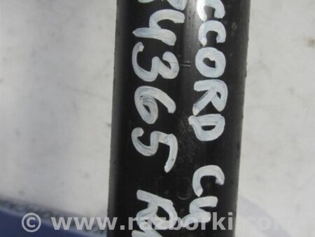 ФОТО Амортизатор для Honda Accord CU (12.2008 - 03.2013) Киев
