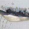 ФОТО Фара для Honda Civic 8 FK,FN1,FN2 UFO (09.2005 - 06.2012) Киев